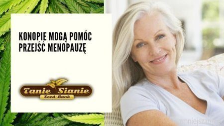 Konopie mogą pomóc przejść menopauzę