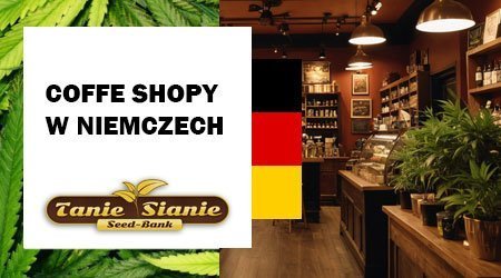 Coffee shopy w Niemczech – czy to możliwe?