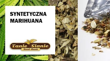 Syntetyczna marihuana - czym jest